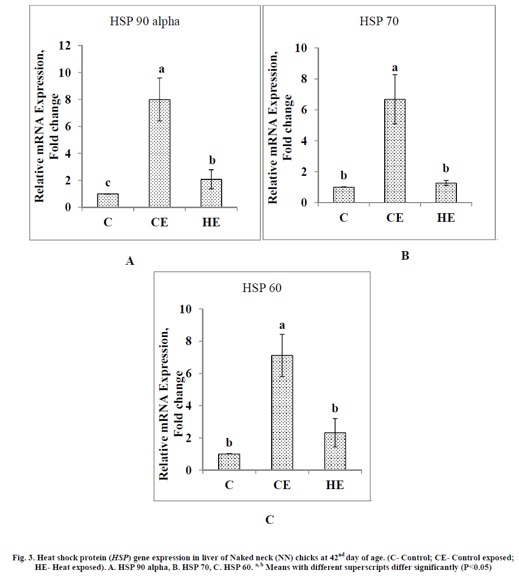 experimental-biology-gene-expression-liver