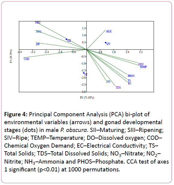 experimental-biology-gonad-developmental