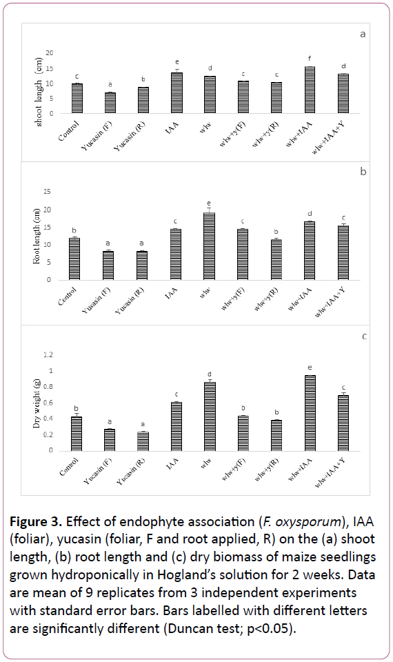 experimental-biology-grown-hydroponically