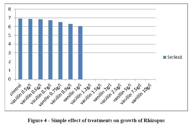 experimental-biology-growth-Rhizopus