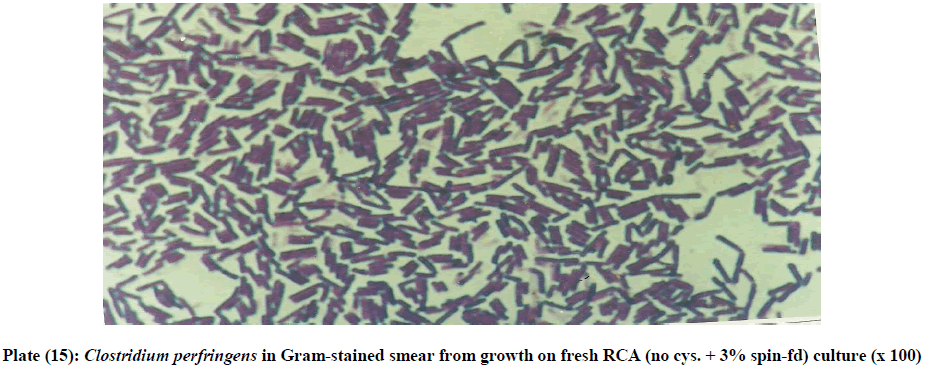 experimental-biology-growth-fresh-RCA