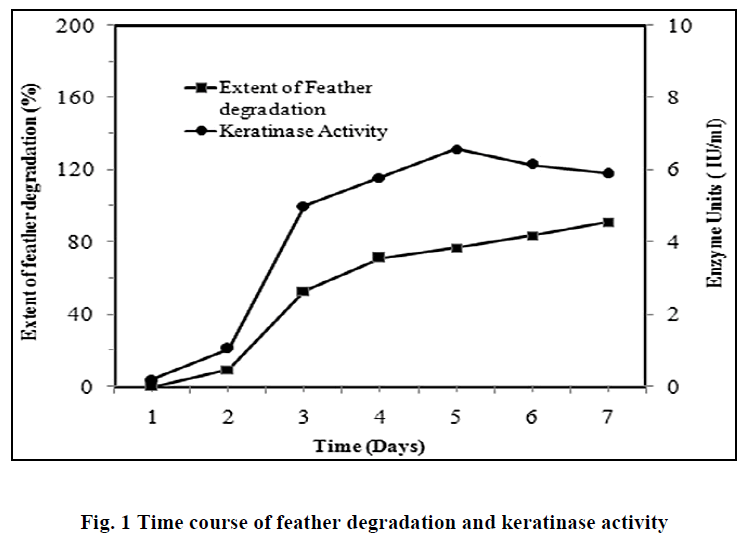 experimental-biology-keratinase-activity