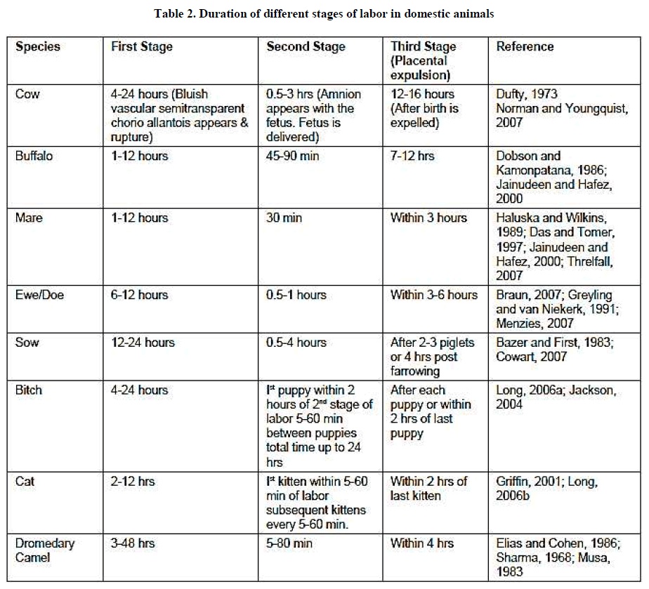 experimental-biology-labor-domestic-animals