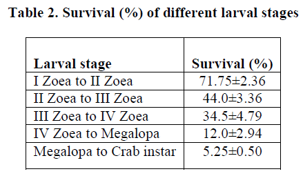 experimental-biology-larval-stages