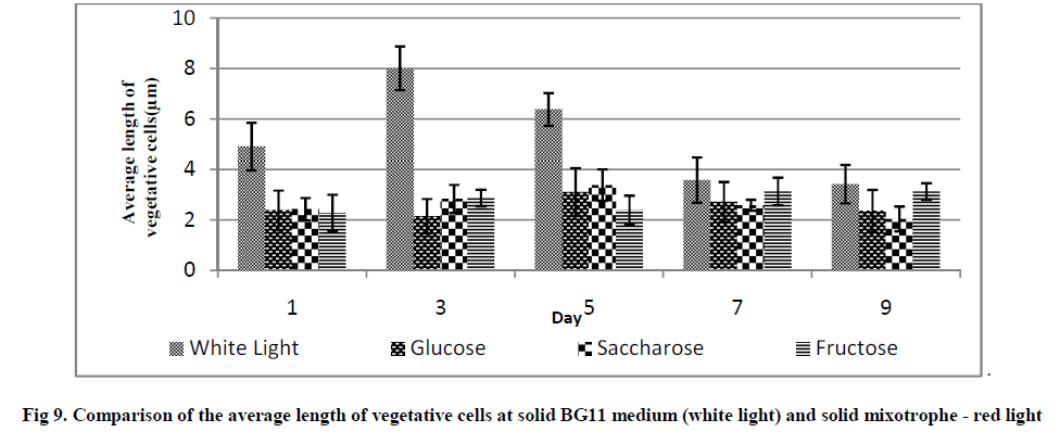 experimental-biology-length-vegetative-cells