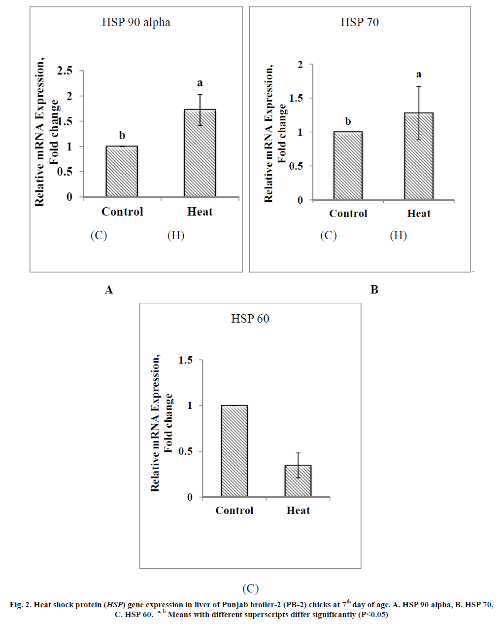 experimental-biology-liver-Punjab-broiler