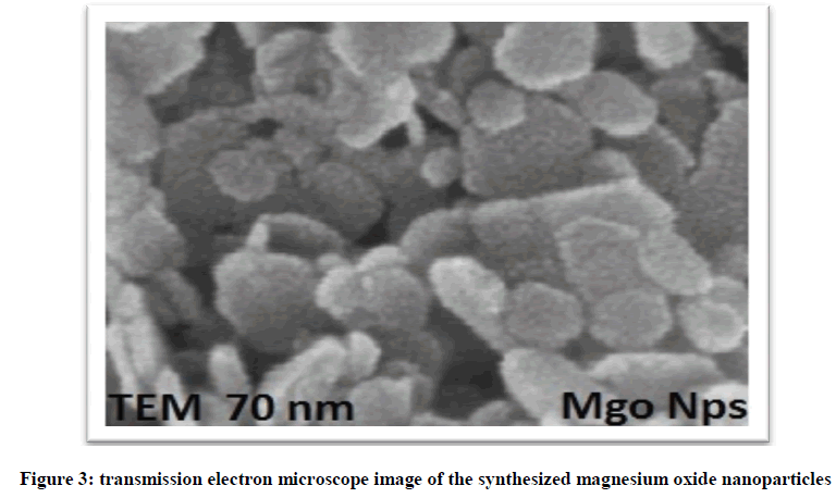 experimental-biology-magnesium-oxide-nanoparticles