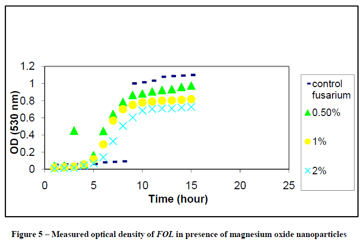 experimental-biology-magnesium-oxide-nanoparticles