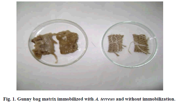 experimental-biology-matrix-immobilized