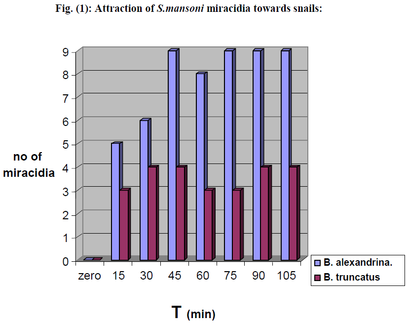 experimental-biology-miracidia-towards