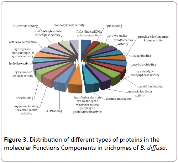 experimental-biology-molecular-Functions