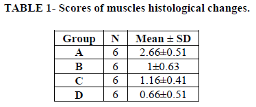 experimental-biology-muscles-histological-changes