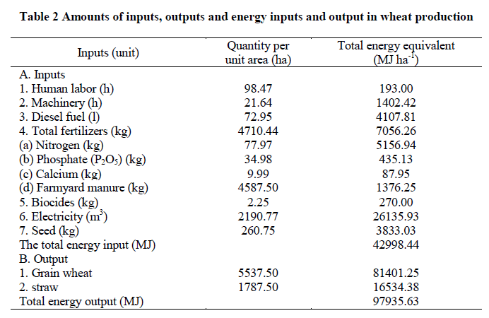 experimental-biology-output-wheat-production