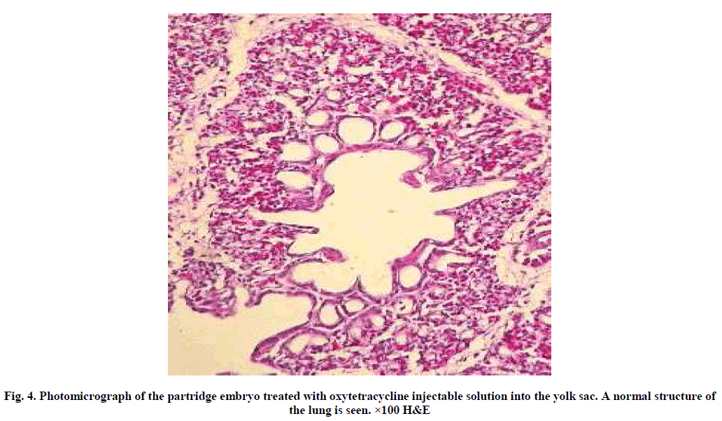 experimental-biology-oxytetracycline-injectable