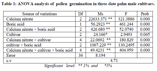 experimental-biology-palm-male-cultivars