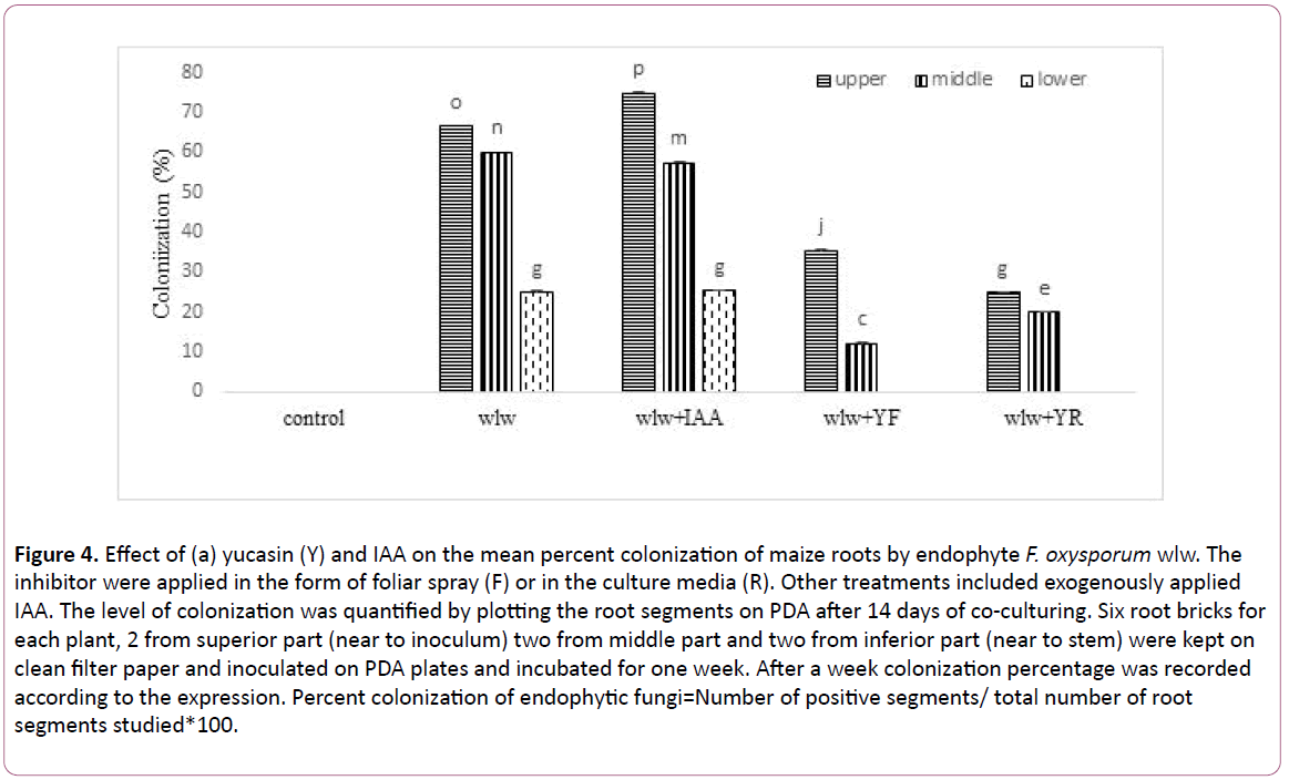 experimental-biology-percent-colonization