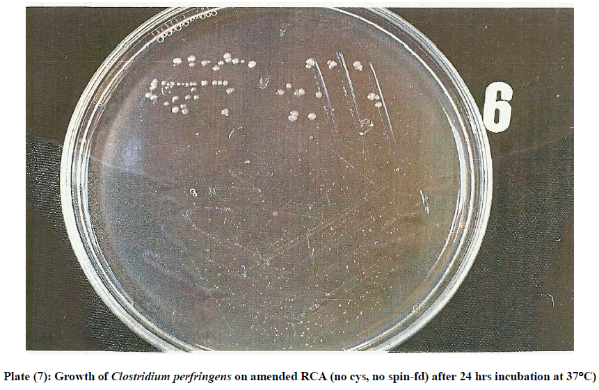 experimental-biology-perfringens-amended-RCA