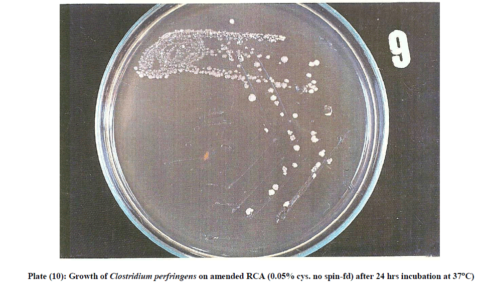 experimental-biology-perfringens-amended-RCA