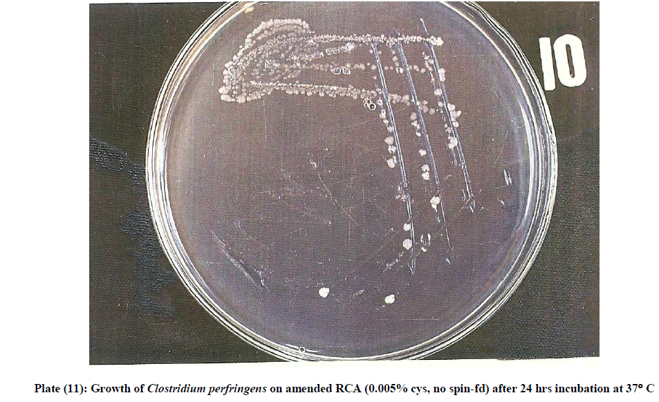 experimental-biology-perfringens-amended-RCA