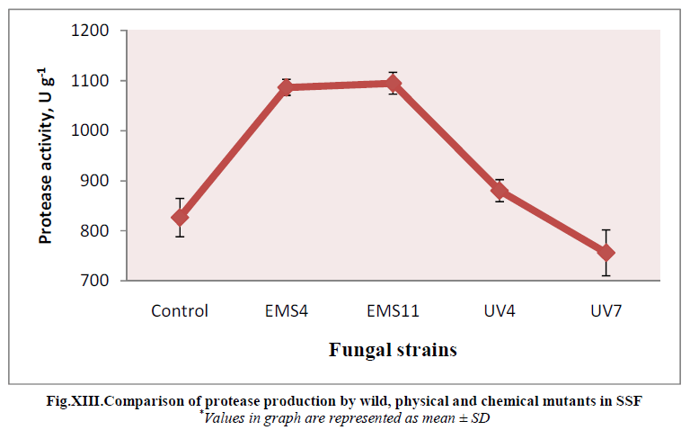 experimental-biology-protease-production