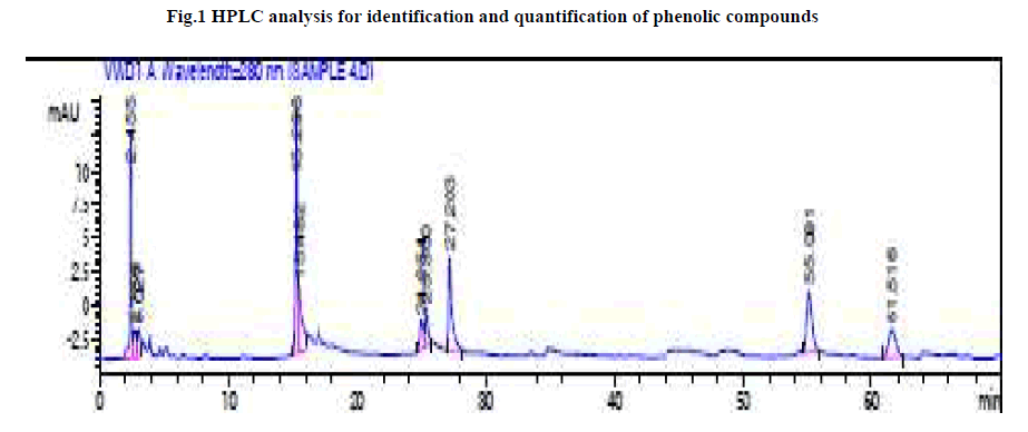 experimental-biology-quantification-phenolic-compounds