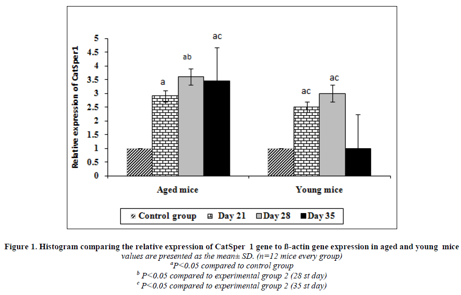 experimental-biology-relative-expression-CatSper