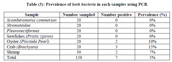 experimental-biology-samples-using-PCR