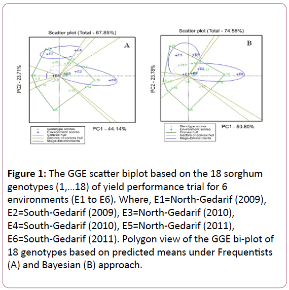 experimental-biology-scatter-biplot