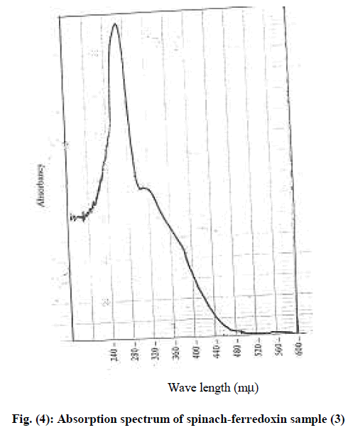 experimental-biology-spinach-ferredoxin