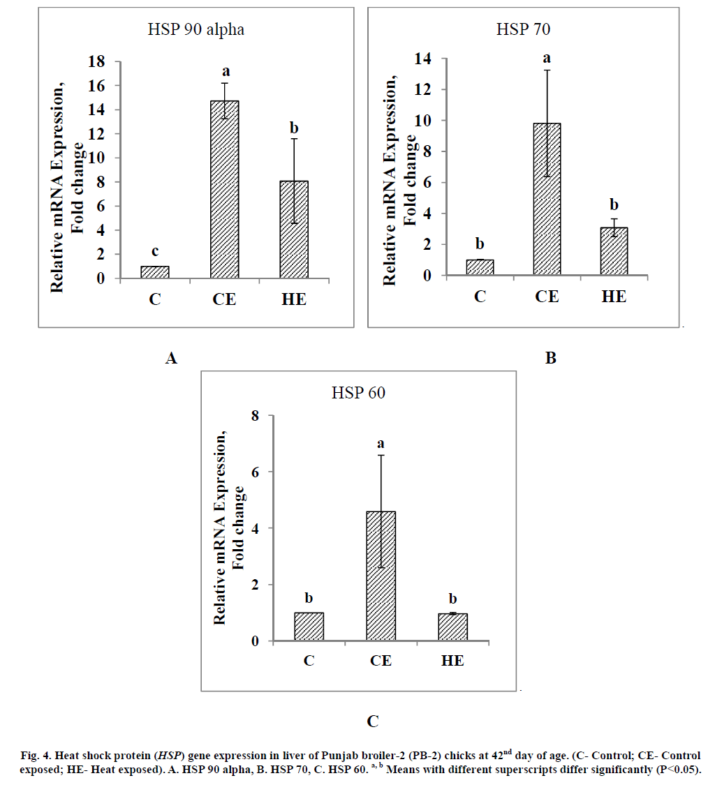 experimental-biology-superscripts-differ-significantly