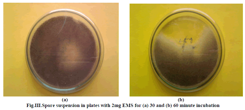 experimental-biology-suspension-plates