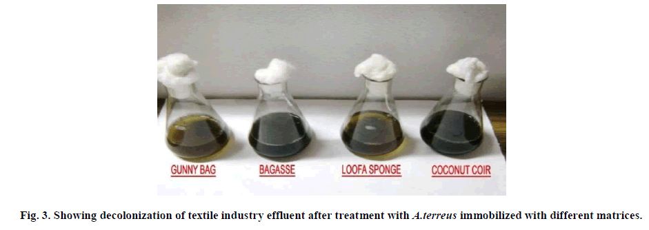 experimental-biology-textile-industry