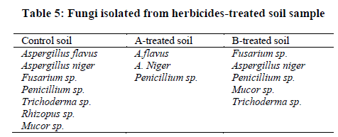 experimental-biology-treated-soil-sample