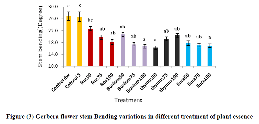 experimental-biology-treatment-plant-essence