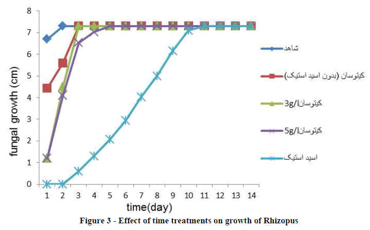 experimental-biology-treatments-growth-Rhizopus