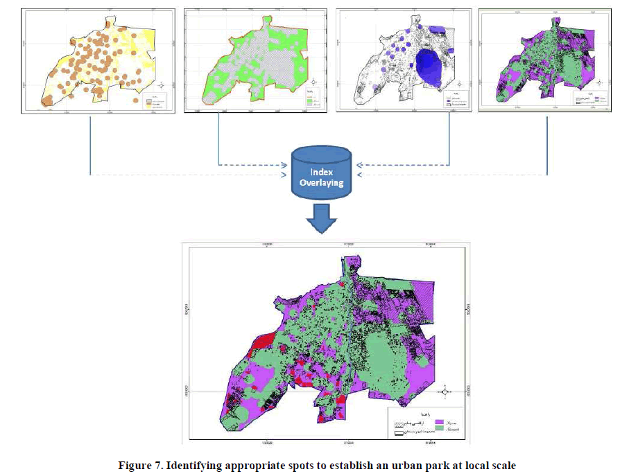 experimental-biology-urban-park-local-scale