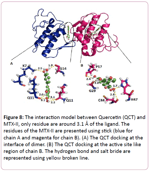 experimental-biology-yellow-broken-line