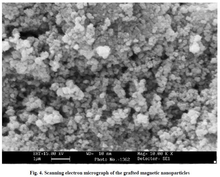 experimental-electron-micrograph