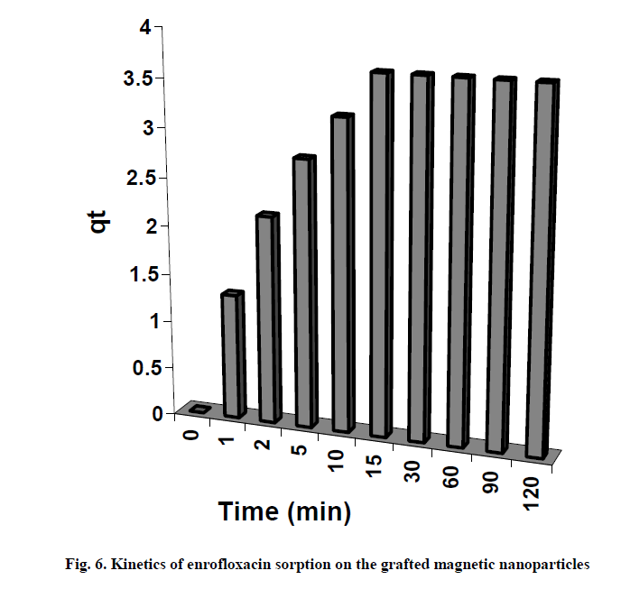 experimental-enrofloxacin-sorption