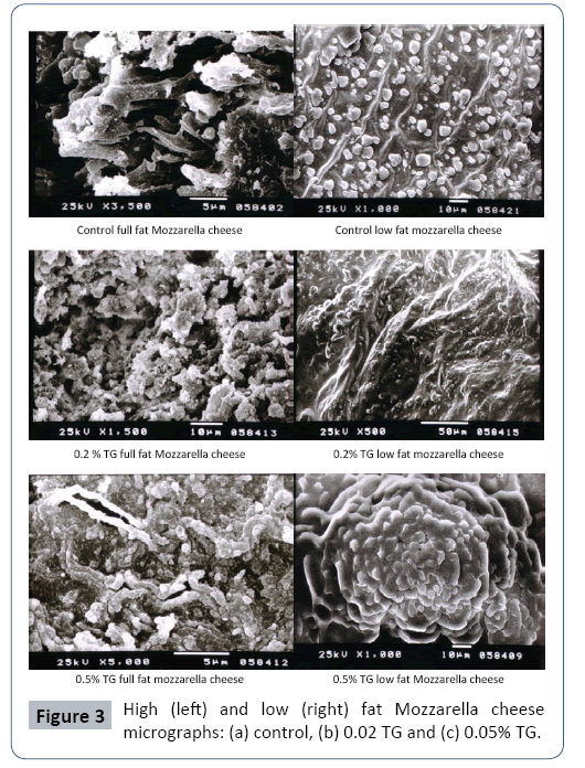 food-nutrition-and-population-health-micrographs