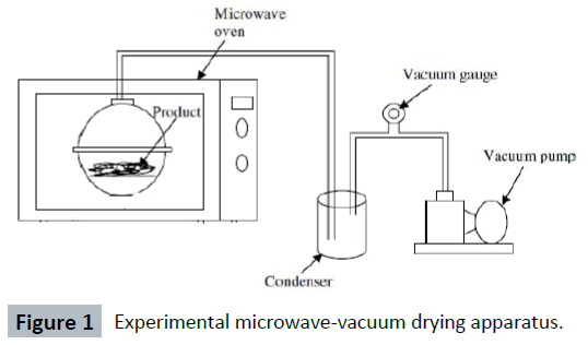 food-nutrition-and-population-health-microwave-vacuum-drying