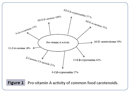 food-nutrition-and-population-health-pro-vitamin