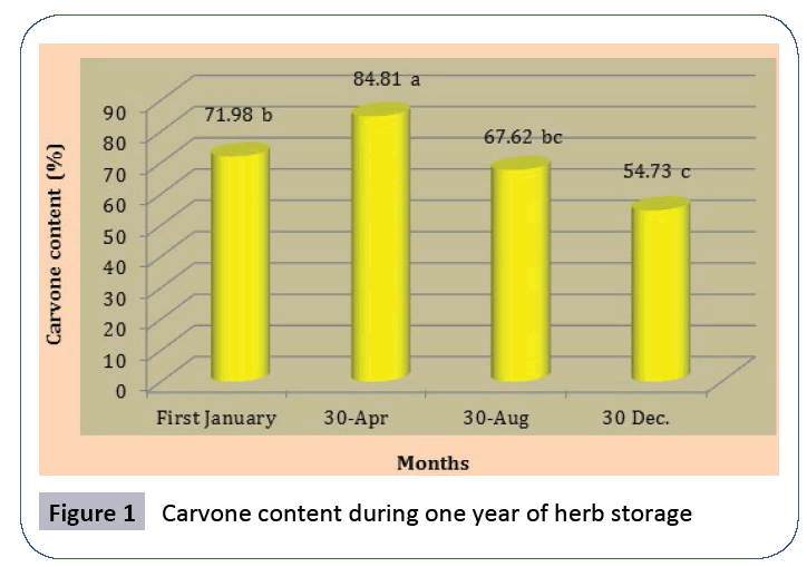 food-nutrition-population-Carvone-content