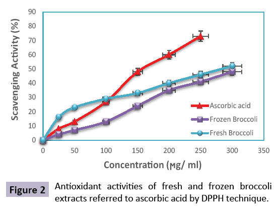 food-nutrition-population-antioxidant-activities