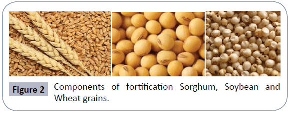 food-nutrition-population-health-fortification-sorghum-soybean