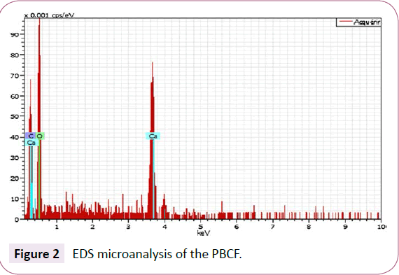 green-chemistry-EDS-microanalysis