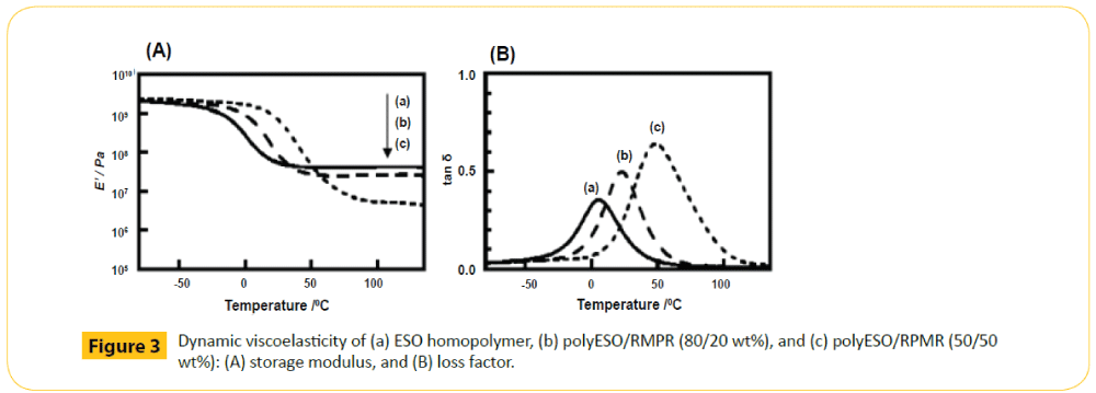 green-chemistry-ESO-homopolymer-polyESO