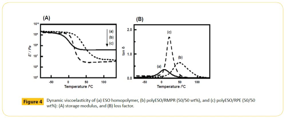 green-chemistry-ESO-homopolymer-polyESO