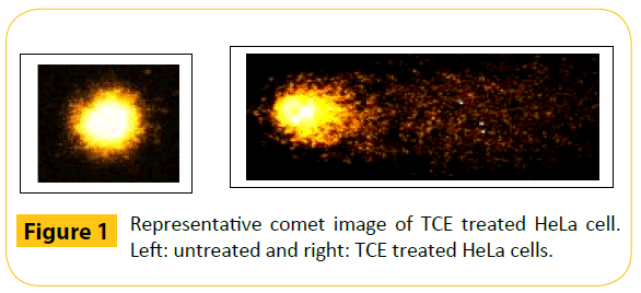 green-chemistry-Representative-comet