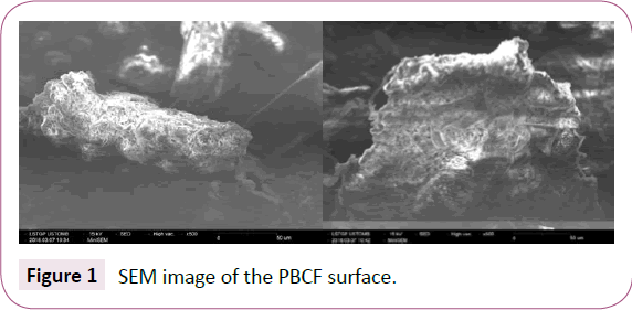 green-chemistry-SEM-image